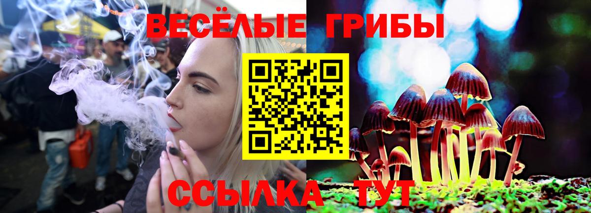Псилоцибиновые грибы Psilocybine cubensis  Псилоцибиновые грибы Psilocybine cubensis  Кулебаки  Вход с VPN 